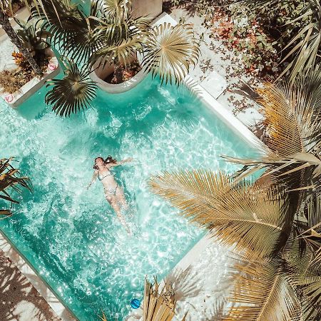 Hotel Buenavista Bacalar Jungle Experience Ngoại thất bức ảnh