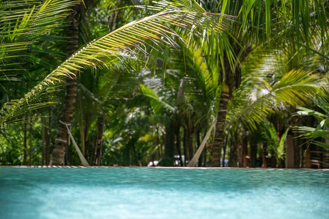 Hotel Buenavista Bacalar Jungle Experience Ngoại thất bức ảnh