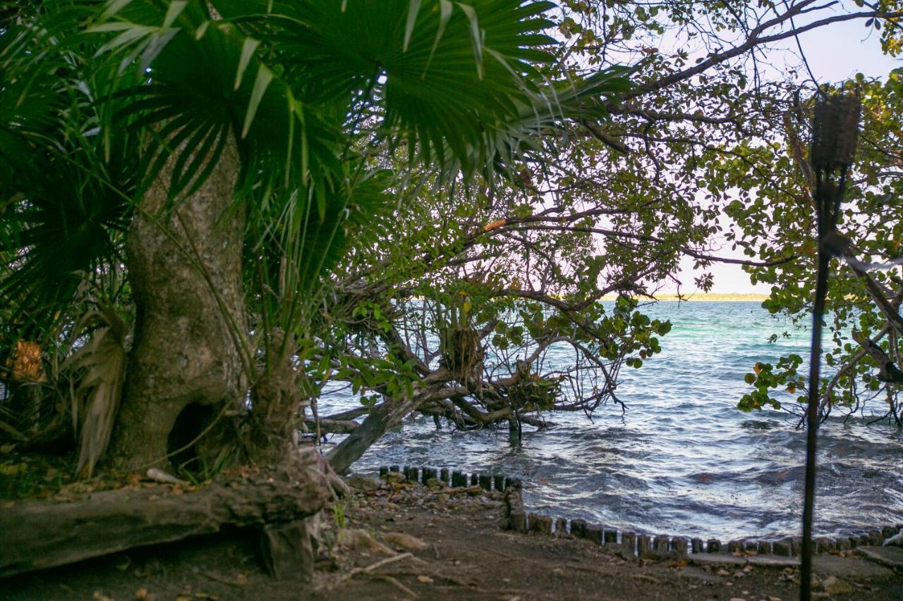 Hotel Buenavista Bacalar Jungle Experience Ngoại thất bức ảnh