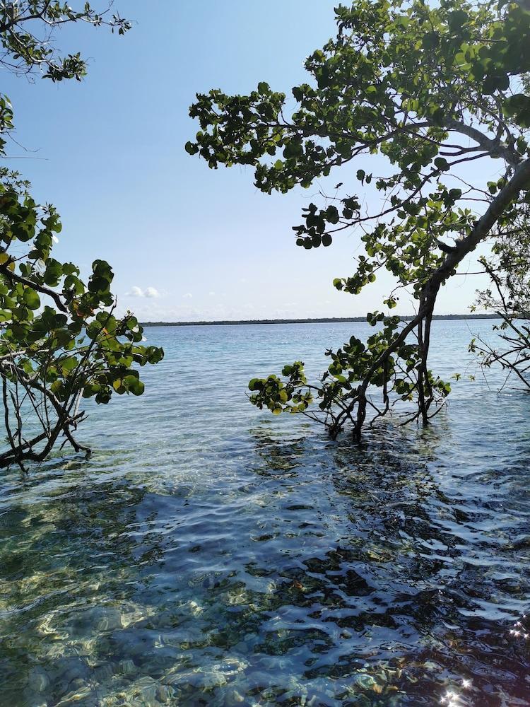 Hotel Buenavista Bacalar Jungle Experience Ngoại thất bức ảnh